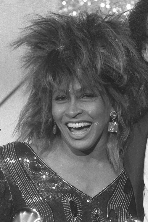Tina Turner in 1985, the year after What's Love Got to Do with It reached number one